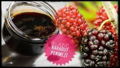 500  GR DUT PEKMEZİ