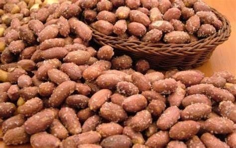 500 GR  TUZLU YER FISTIGI