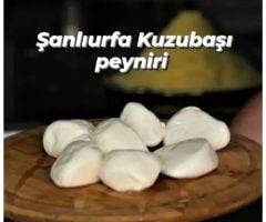 Urfa Kuzubaşı Peyniri 4.5 Kg (Teneke)