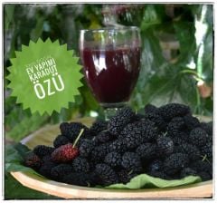 1 LITRE KARADUT ÖZÜ