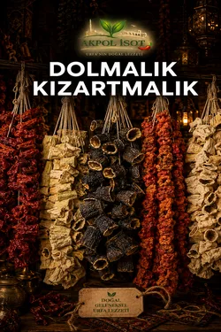 Dolmalık Kızartmalık